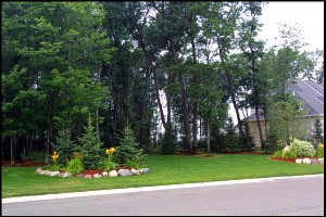 Great Landscaping